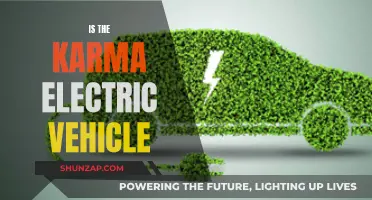 Revolutionizing the Road: The Karma Electric Vehicle's Impact