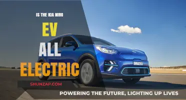 Kia Niro EV: All-Electric Powerhouse?