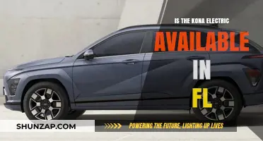 Electric Vehicle Availability: Kona Electric in Florida?