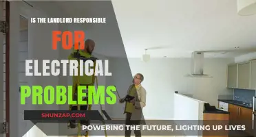 Electrical Issues: Landlord's Responsibility or Tenant's Headache?