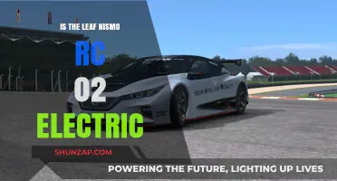 Electric Nismo RC 02 Leaf: Nissan's Racing Future