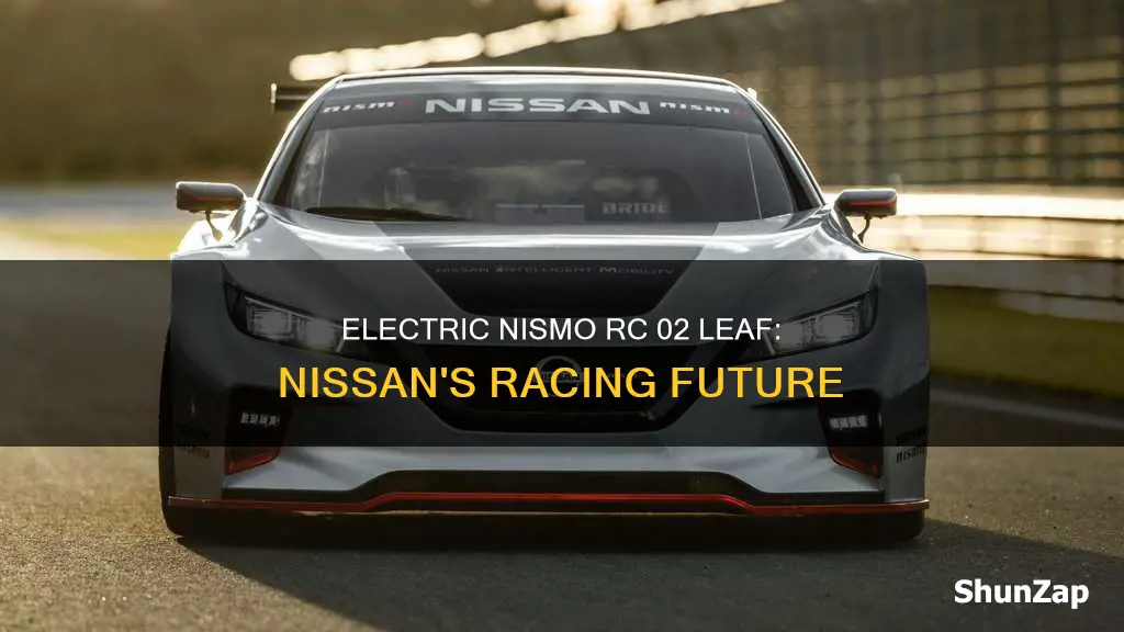 is the leaf nismo rc 02 electric