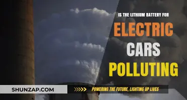 Are Lithium Batteries in Electric Cars Eco-Friendly or Polluting?