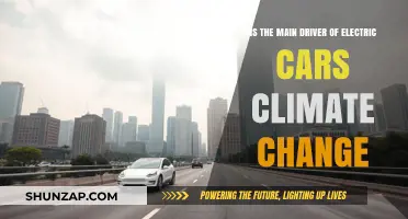 Electric Cars: Climate Change as the Primary Driving Force?