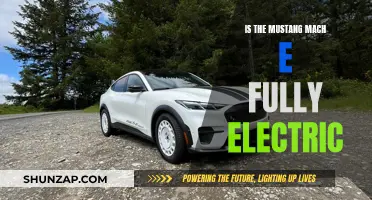 The Mustang Mach-E: Ford's All-Electric Powerhouse