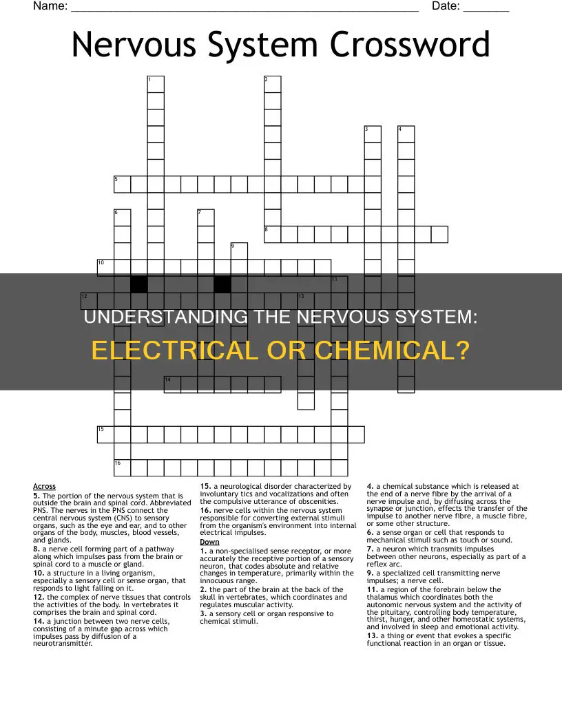 is the nervous system chemical or electrical