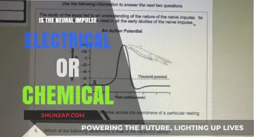 What's Behind Neural Impulses: Electrical or Chemical?