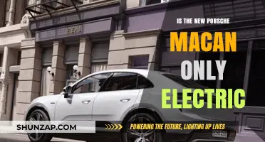 Porsche Macan: Electric Evolution or Hybrid Hope?