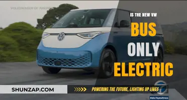 VW's Electric Future: The Buzz About the Bus
