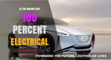 Nissan Leaf: All-Electric, All-Powerful