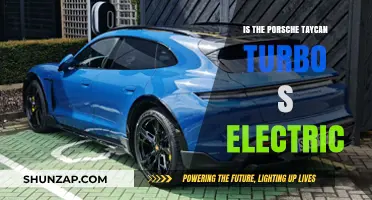 Porsche Taycan Turbo S: Electric Powerhouse?