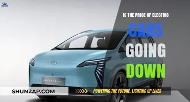 Are Electric Cars Becoming More Affordable? Price Trends Explained
