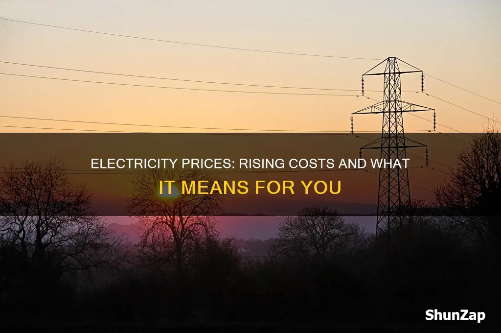 is the price of electric going up