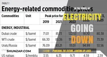 Electricity Costs: Will Prices Drop?
