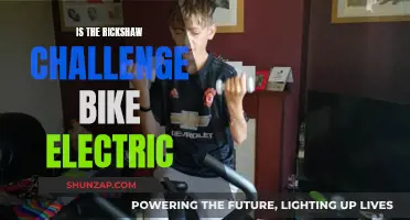 Electric Rickshaw Challenge: Bike's Eco-Friendly Adventure