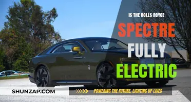 Rolls-Royce Spectre: Electric Future of Luxury Cars?