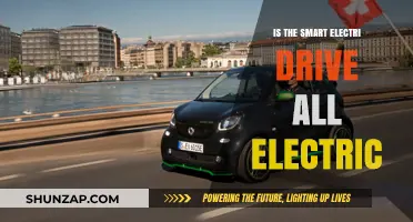 Smart Electric Drive: All-Electric or Not?