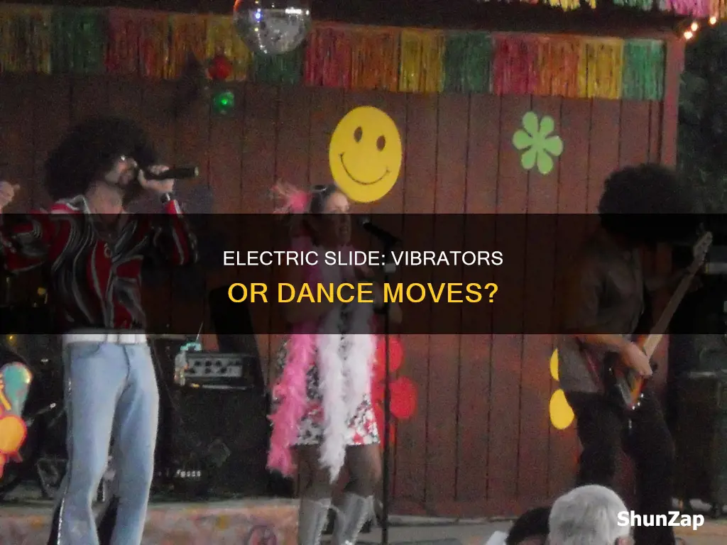 is the song electric slide about vibrators