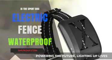 Electric Fences for Dogs: Are They Waterproof?