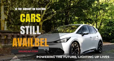 Are Electric Car Subsidies Still Available in 2023?