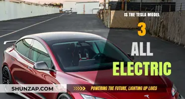 Electric Power: Tesla Model 3's Engine Secrets