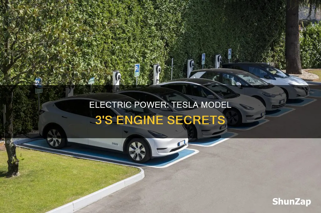 is the tesla model 3 all electric