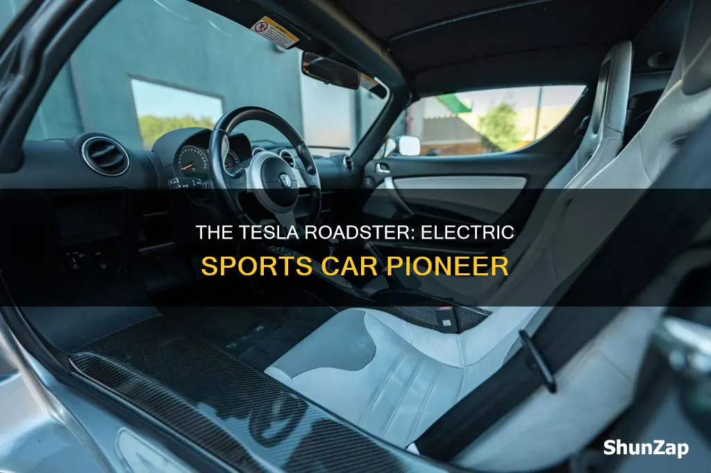 is the tesla roadster all electric 2008