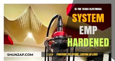 Texas Electrical Grid: EMP Hardened?