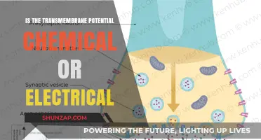 What is Transmembrane Potential? Chemistry or Electricity?