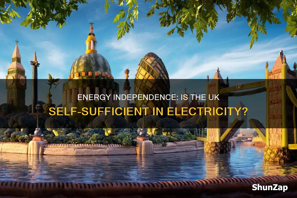 is the uk self sufficient in electricity