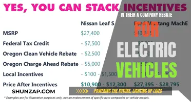 Rebate Revolution: Unlocking EV Savings