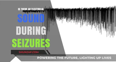 Electrical Brain Noises: Seizures and Sounds