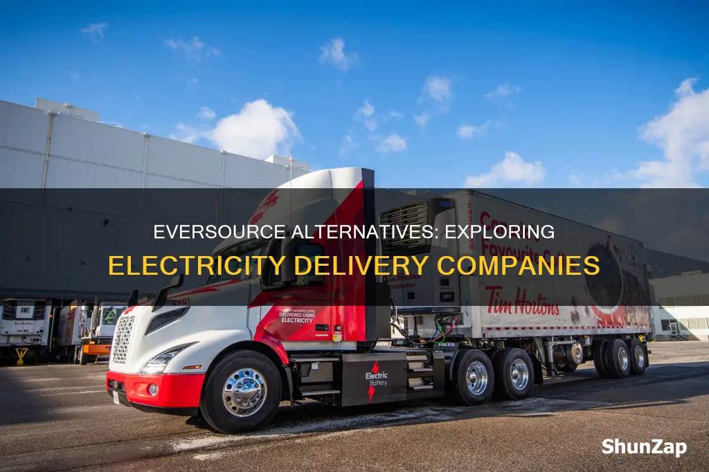 is ther another electricity delivery company besides eversource