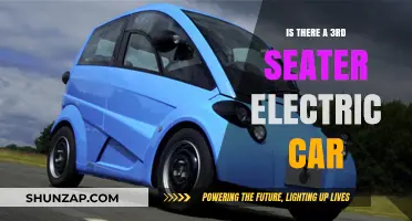 Exploring Compact Electric Cars: Are There 3-Seater Options Available?