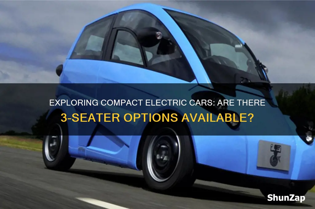 is there a 3rd seater electric car