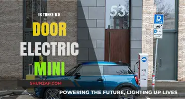 The Electric Mini: 5-Door Option Available?