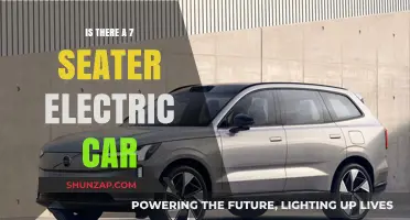 Exploring Electric Options: Are There 7-Seater EV Models Available?