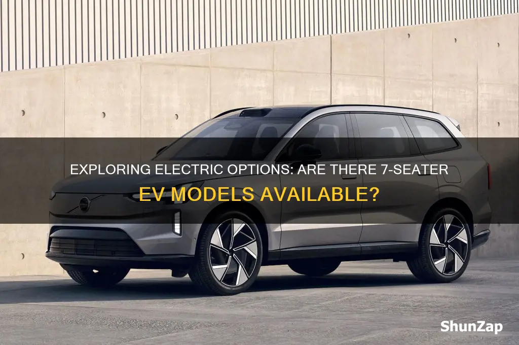 is there a 7 seater electric car