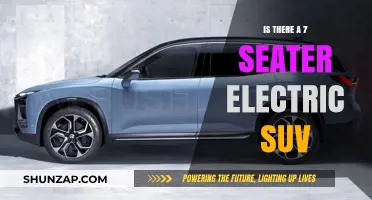 Electric SUVs for Big Families: 7-Seater Options