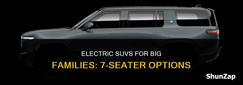 is there a 7 seater electric suv