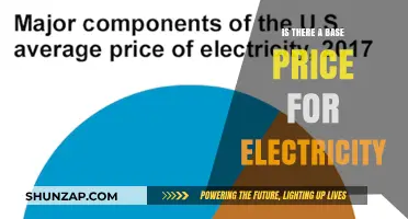 Electricity Pricing: Is There a Standard Base Price?