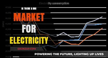 Electricity Market: A Global Demand Outlook