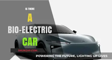 Exploring Bio-Electric Cars: The Future of Sustainable Transportation?