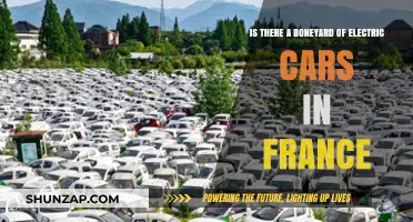 France's Electric Car Boneyard: Myth or Reality?