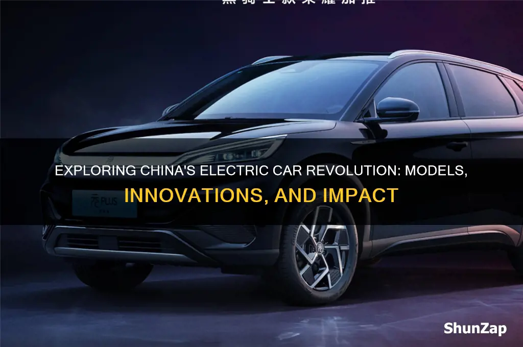 is there a chinese electric car