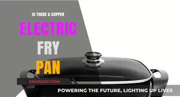 Copper Electric Fry Pan: Is It Worth It?