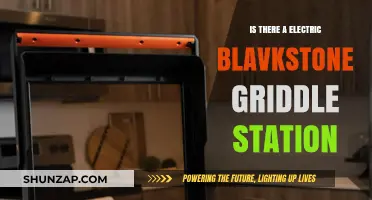 Best Electric Griddle: Blackstone Griddle Station Review