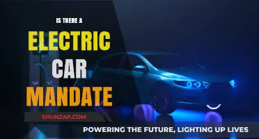 Electric Car Mandate: Fact or Fiction? Exploring Global EV Policies