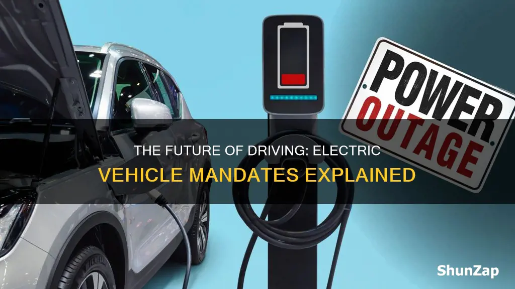 is there a electric vehicle mandate