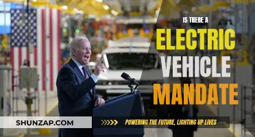 Electric Vehicle Mandate: What's the Future Hold?